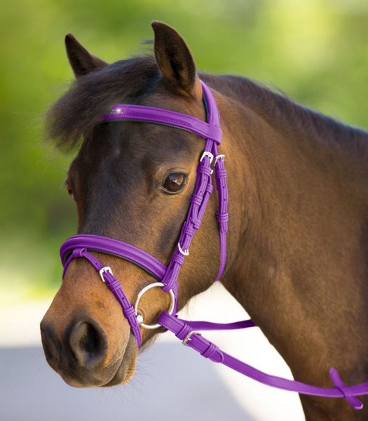 uzdečka pre pony, shetty, minishetty